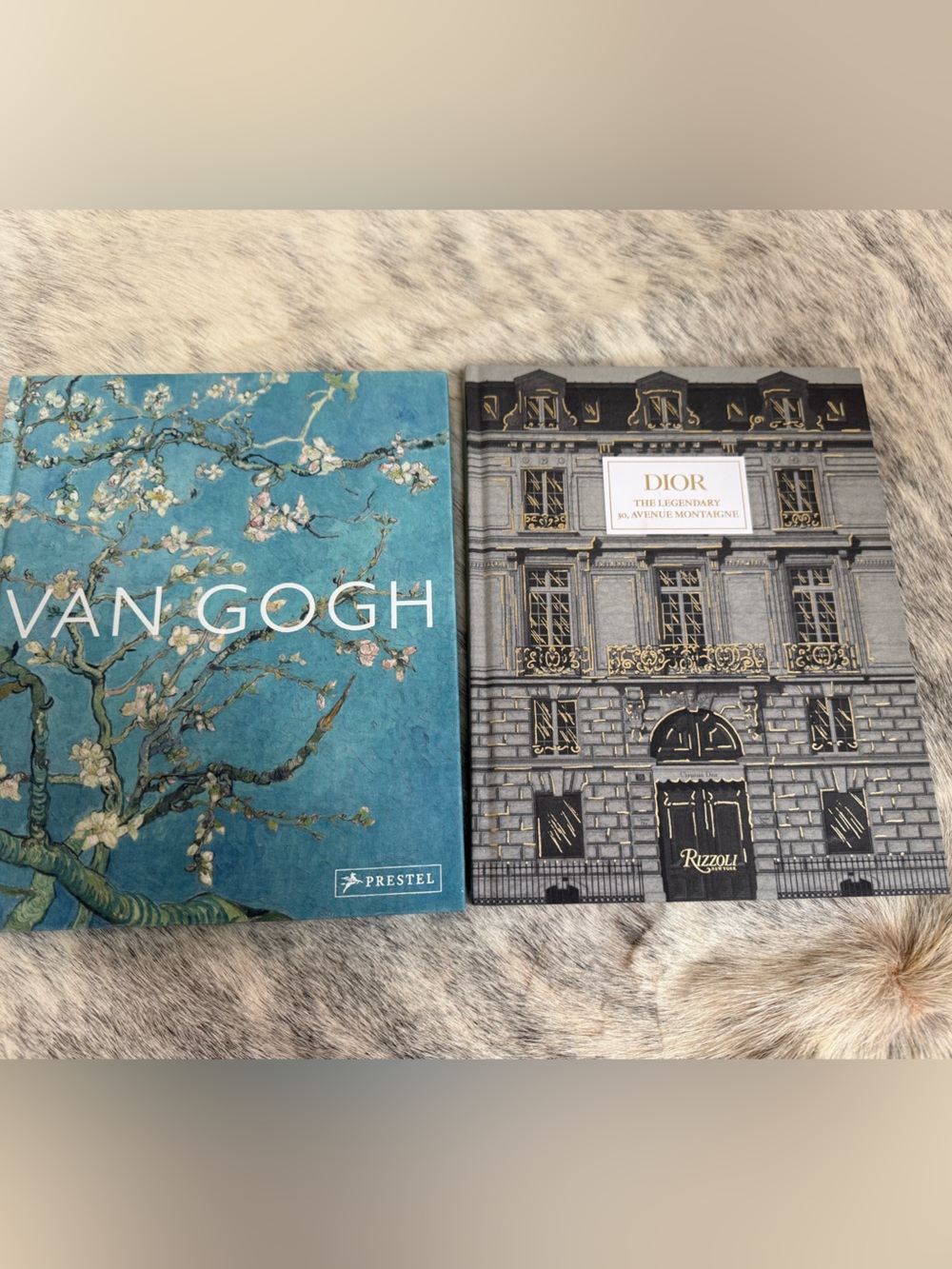 DIOR/Van Gogh Art Books